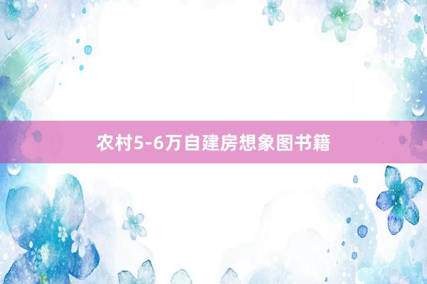 农村5-6万自建房想象图书籍